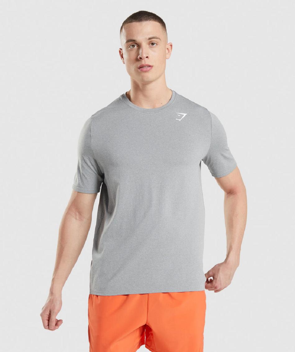 T Shirts Męskie Gymshark Arrival Seamless Szare | PL 3898SGL